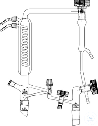 Columns heads, acc. to Antlinger, with