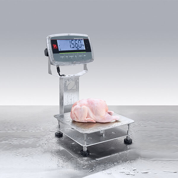 Waga platformowa i-D61PW3K1S6