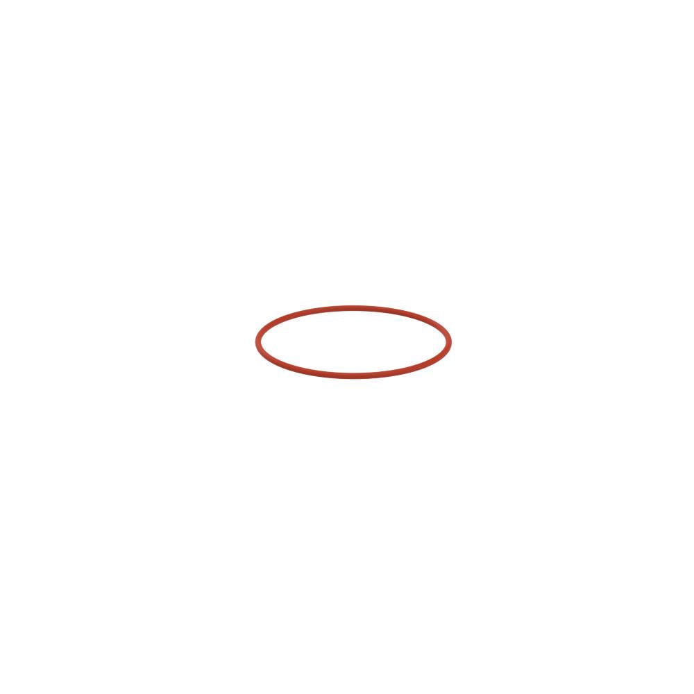 SY O-ring 100