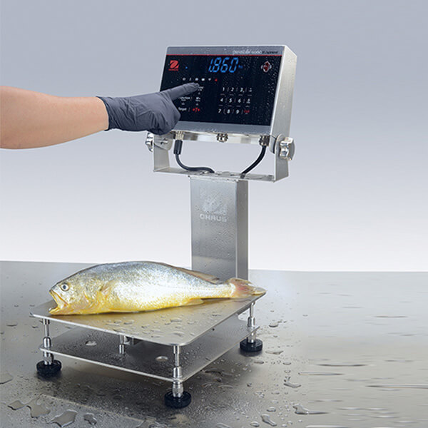 Waga platformowa i-D61XWE30K1DR6-M
