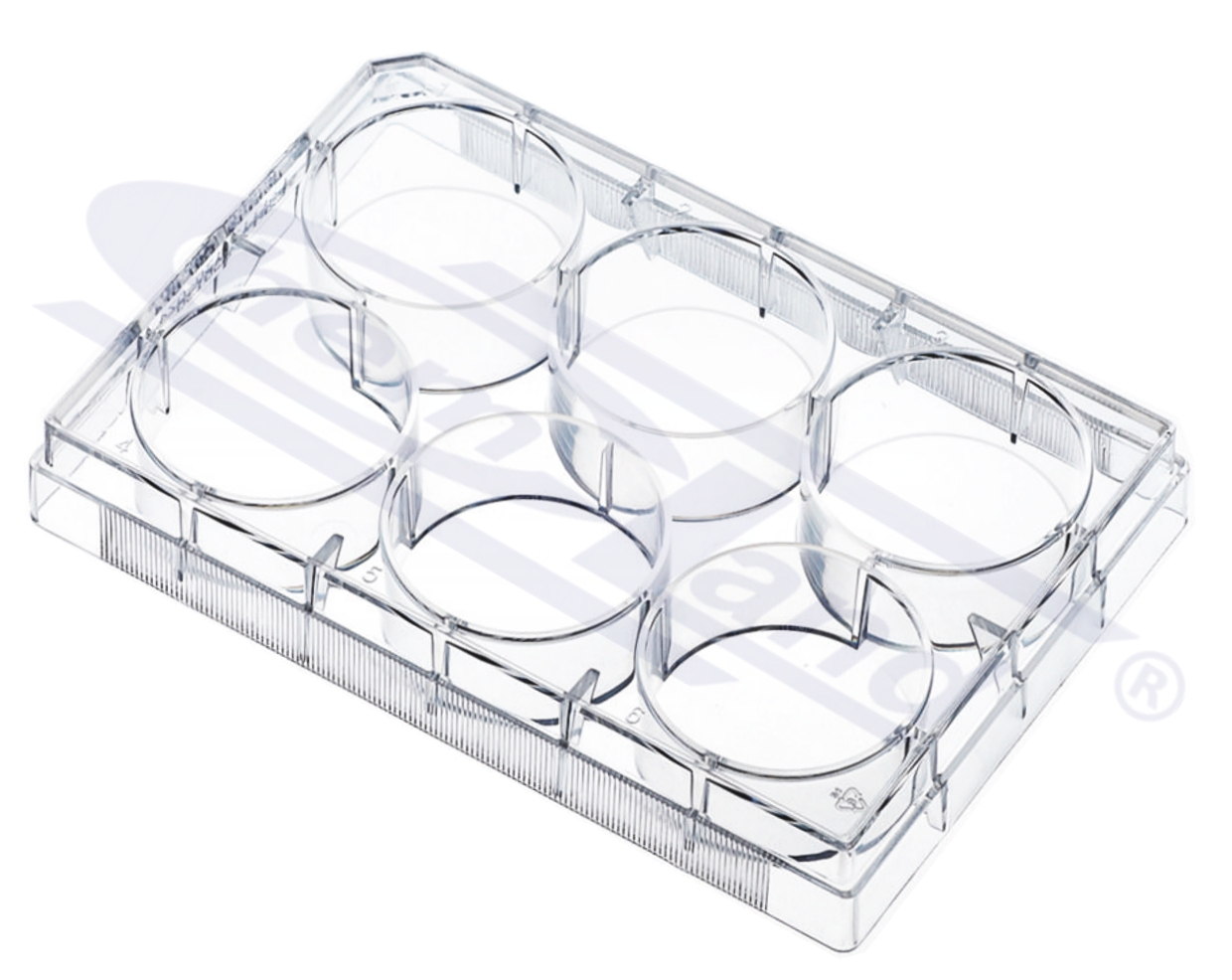 płytki do hodowli 6-miejscowe, objętość robocza 1,90 - 2,90ml, Powierzchnia wzrostu na dołek 9,60 cm, STERYLNE op. 1 szt.