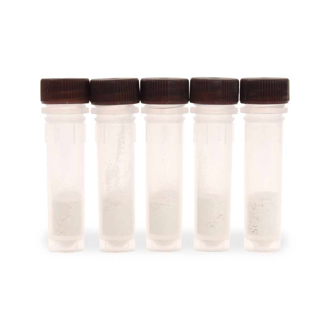 Prob. Lizy 100x2mL 0.1/0.8/3mm ZrO2 Bead
