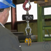 Crane Scale PCE-CS 1000LD