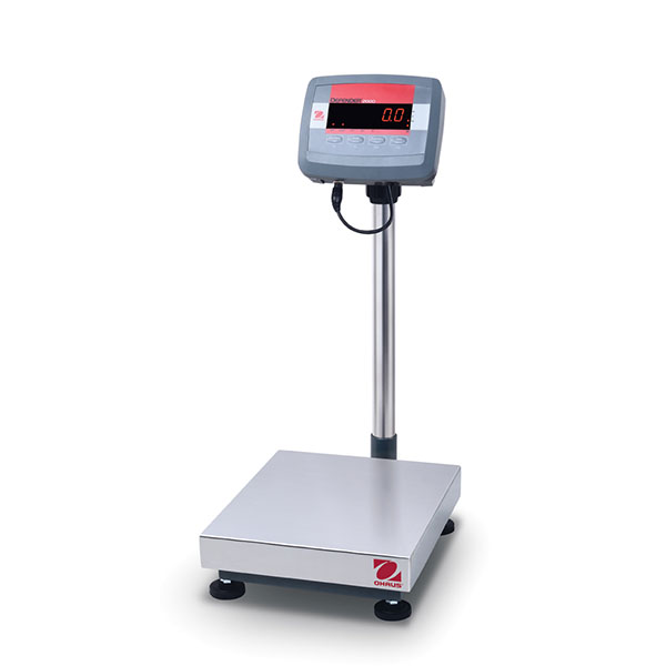 Waga Platformowa, D24PE30FR