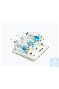 Pick the optimal choice for a busy lab with Thermo Scientific™ Dedicated Platforms for MaxQ™ 2000/2506/2508/4000/4450/6000 Shakers. MaxQ platforms are model-specific and come with pre-installed clamps to maximize capacity. MaxQ Shakers, Platforms and accessories provide exceptional innovation, reliability and accuracy.