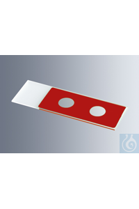 Microscope slides with reaction wells
