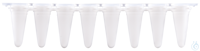 Expell qPCR 8-strip Tube 0.1 mL w/ cap, white, bag, Case / 5 x 10 x 12 pcs.