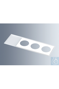 Microscope slides with reaction wells