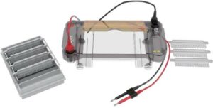 zbiornik wielofunkcyjny DL-SUB03 poziomy do elektroforezy DEP-600 Dlab